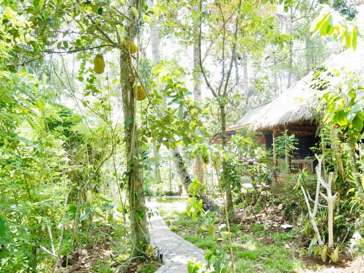 Green Vanilla Bungalow Sidemen  Ngoại thất bức ảnh