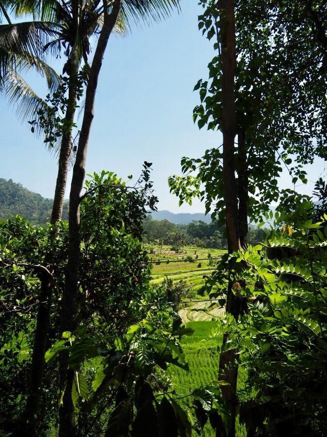 Green Vanilla Bungalow Sidemen  Ngoại thất bức ảnh
